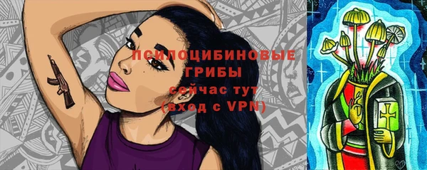 таблы Бородино