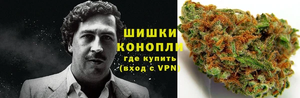 Альфа ПВП Бугульма