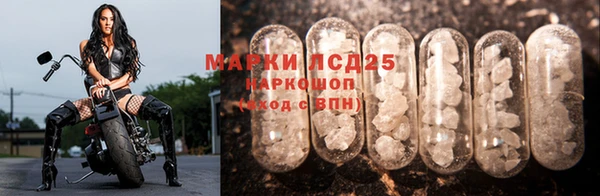 таблы Бородино