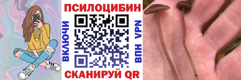 как найти наркотики  Демидов  Галлюциногенные грибы мухоморы 
