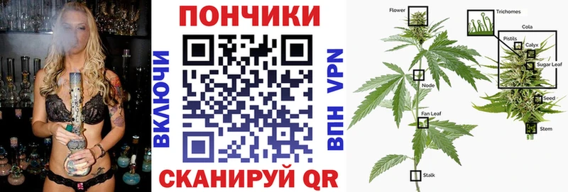 Бошки марихуана марихуана Демидов